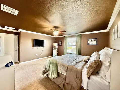12404 Ballentrae Forest Drive Riverview FL 33579