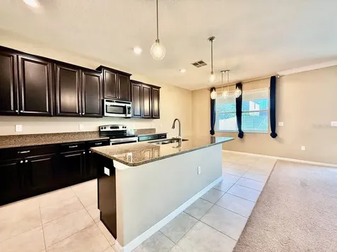 12404 Ballentrae Forest Drive Riverview FL 33579