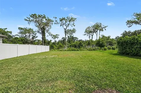 12961 Wildflower Meadow Drive Riverview FL 33579