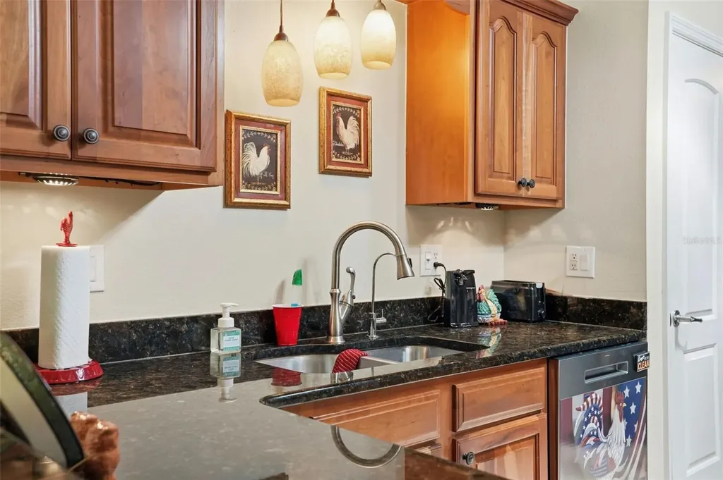 10340 Buncombe Way San Antonio FL 33576