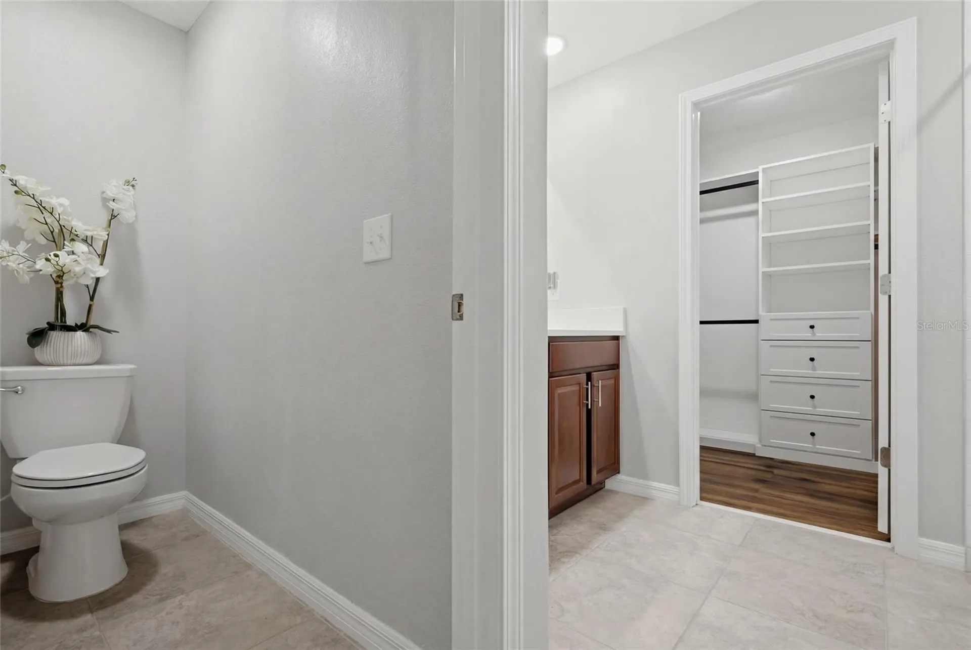 10232 Cool Waterlily Avenue Riverview FL 33578