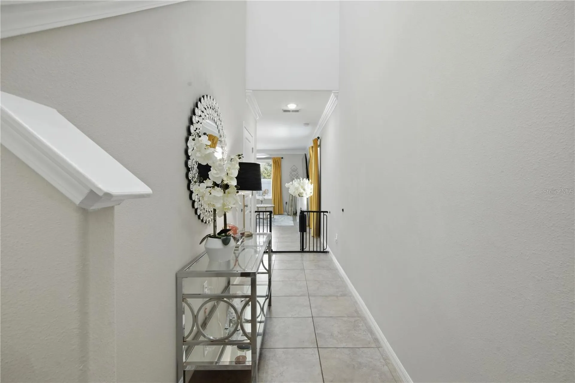 10232 Cool Waterlily Avenue Riverview FL 33578