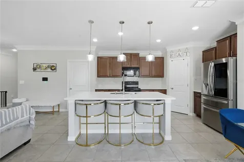 10232 Cool Waterlily Avenue Riverview FL 33578