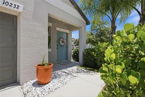 10232 Cool Waterlily Avenue Riverview FL 33578