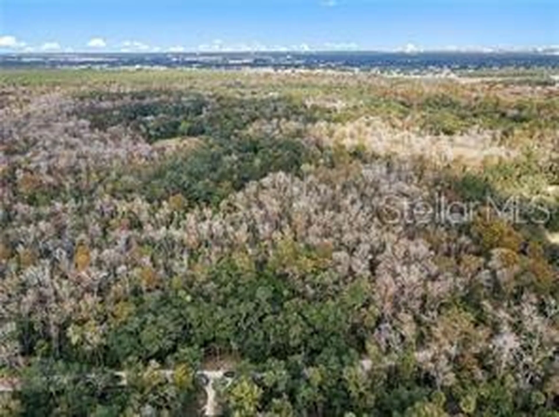 8245 Keefer Trail Kissimmee FL 34747