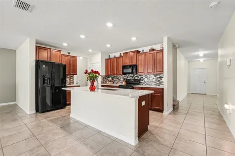 10022 Carloway Hills Drive Wimauma FL 33598