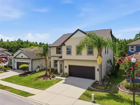 30643 Walker Cup Place Wesley Chapel FL 33543