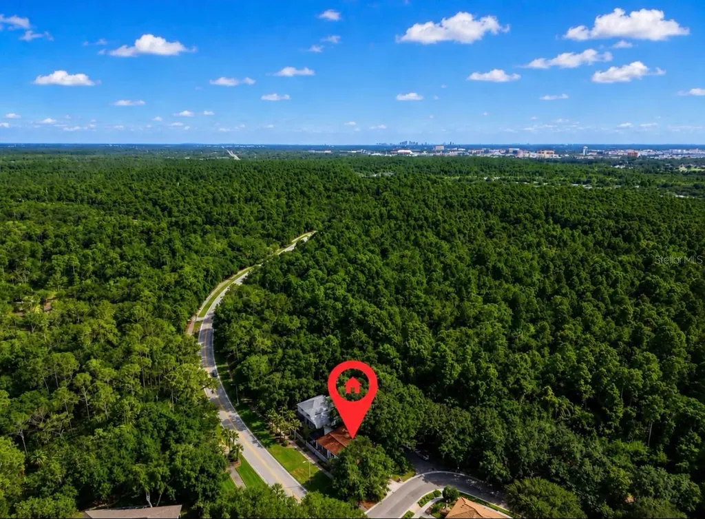 5204 Green Forest Court Tampa FL 33647