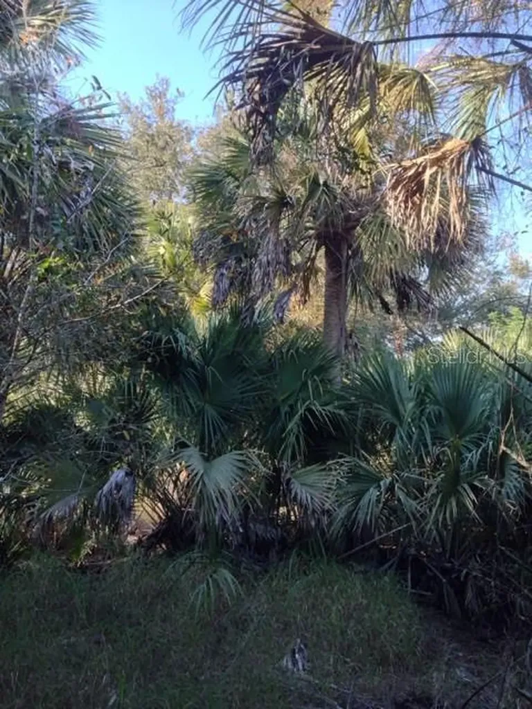 1901 Graham Road Punta Gorda FL 33982