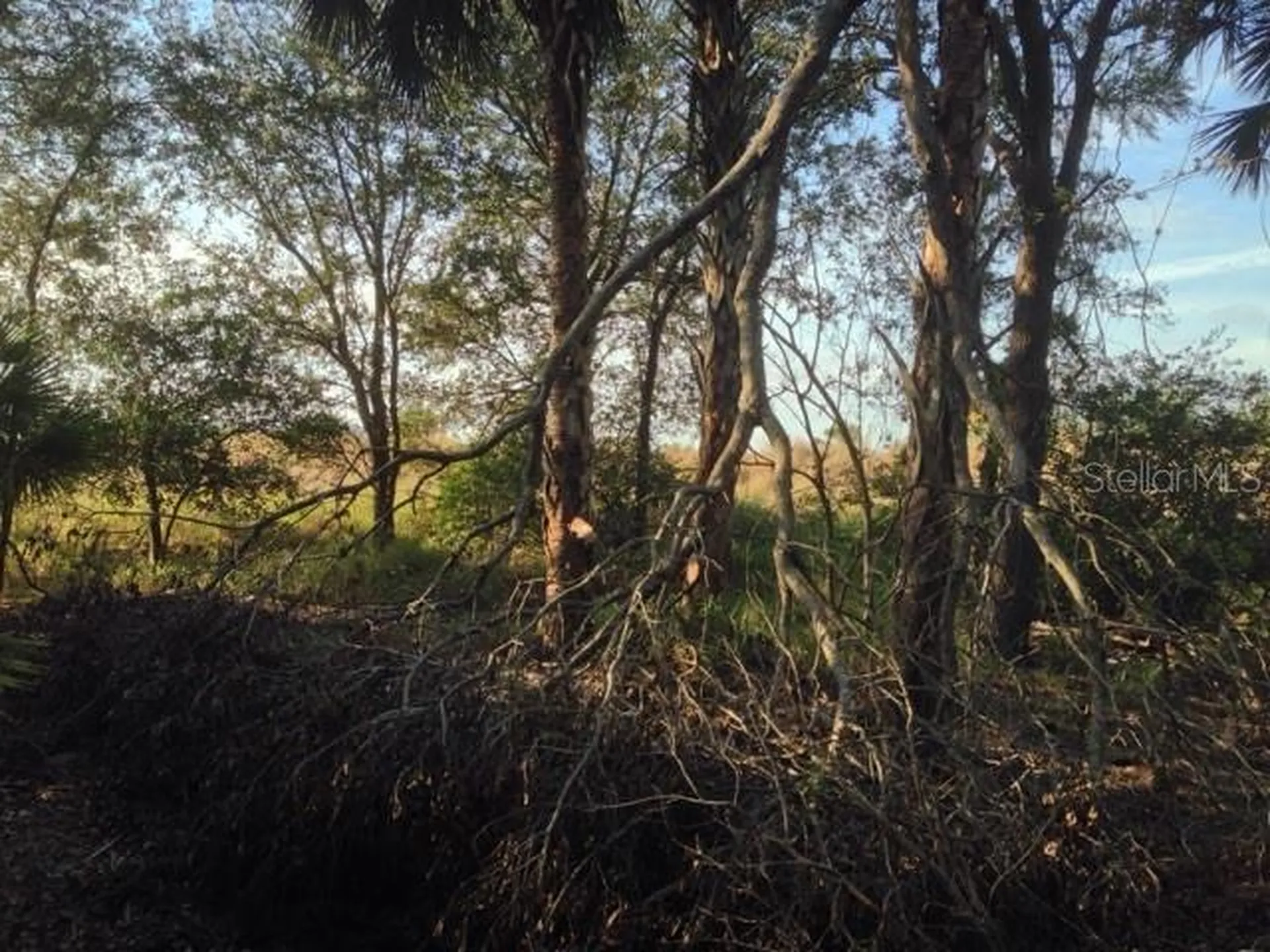 1901 Graham Road Punta Gorda FL 33982