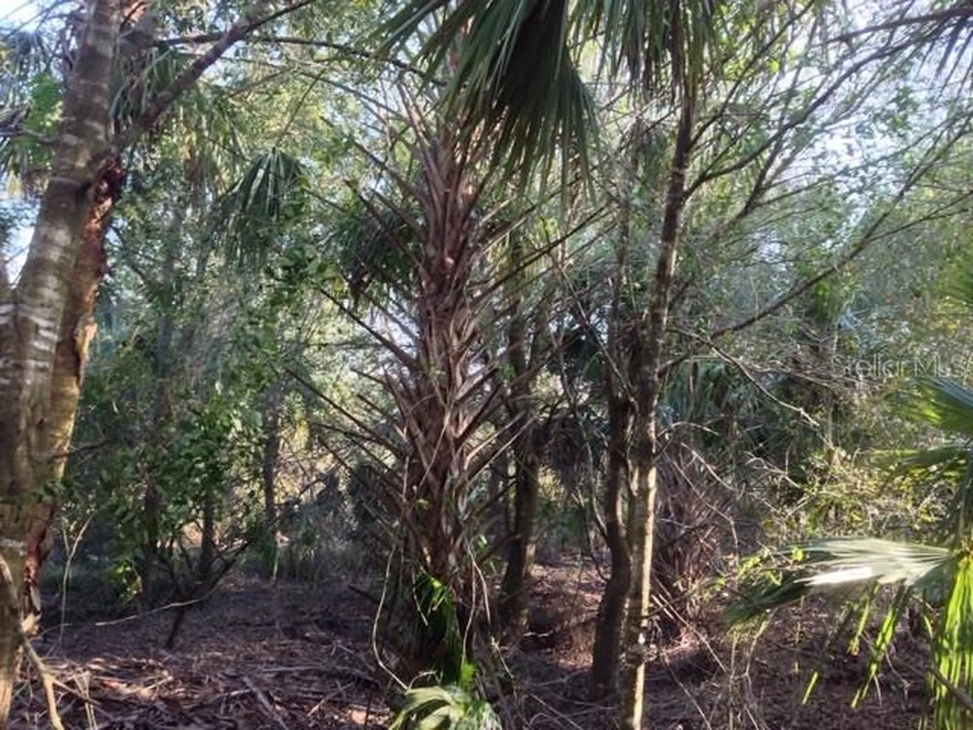 1901 Graham Road Punta Gorda FL 33982