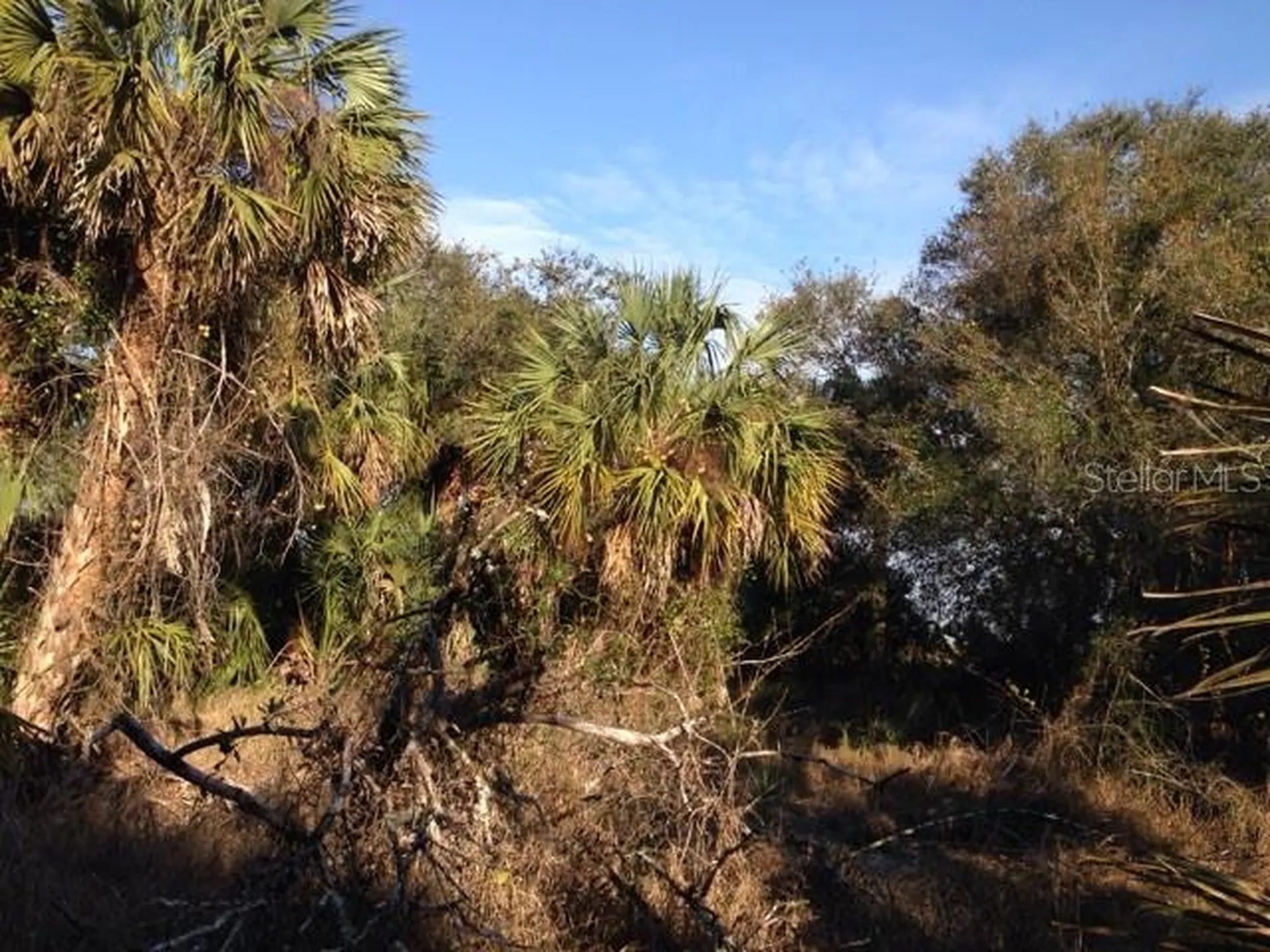 1901 Graham Road Punta Gorda FL 33982
