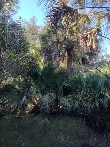 1901 Graham Road Punta Gorda FL 33982