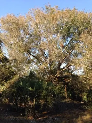 1901 Graham Road Punta Gorda FL 33982