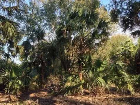 1901 Graham Road Punta Gorda FL 33982