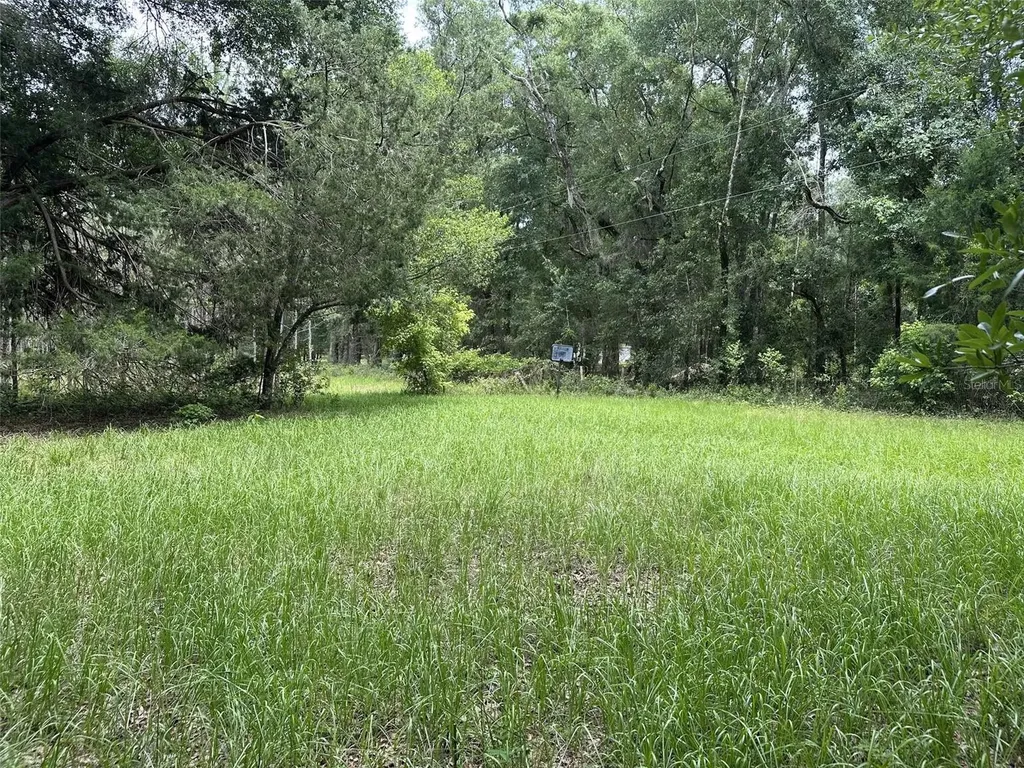 367 SW Kinard Court Fort White FL 32038