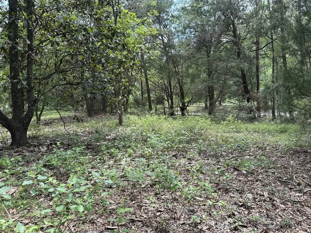 367 SW Kinard Court Fort White FL 32038