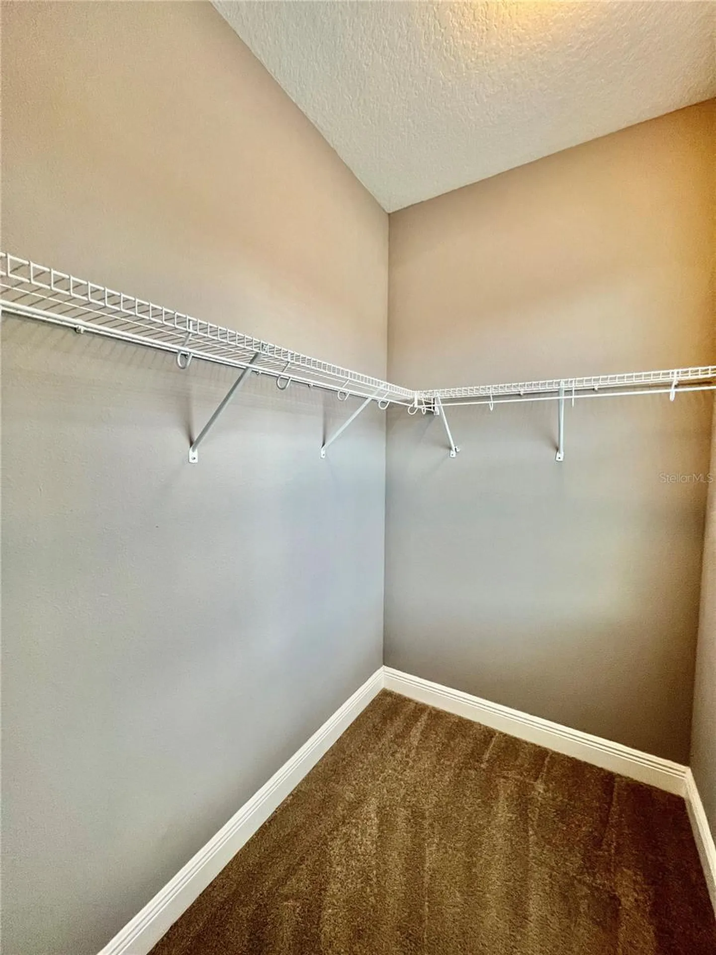7516 S Trask Street Tampa FL 33616