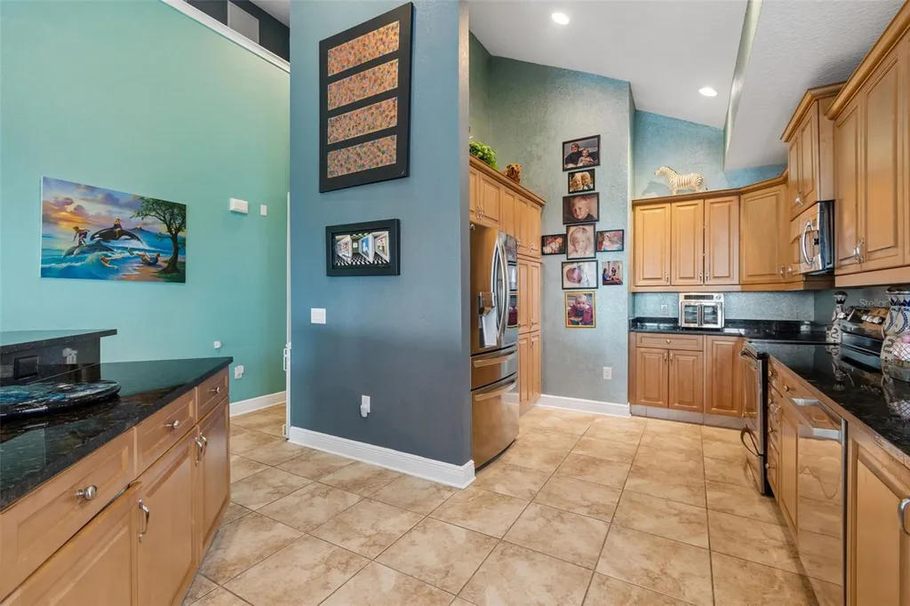 1038 Bellasol Way Apollo Beach FL 33572