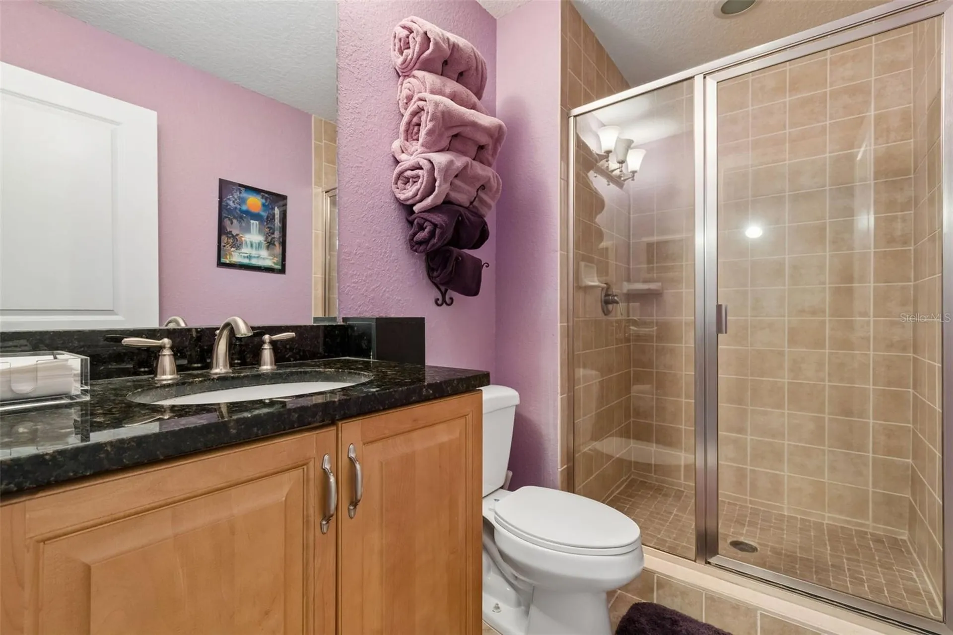 1038 Bellasol Way Apollo Beach FL 33572