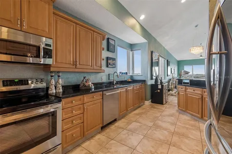 1038 Bellasol Way Apollo Beach FL 33572