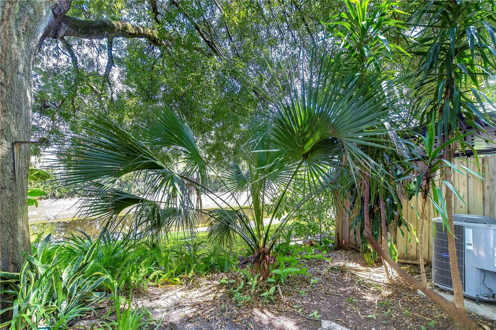 13937 Fletchers Mill Drive Tampa FL 33613