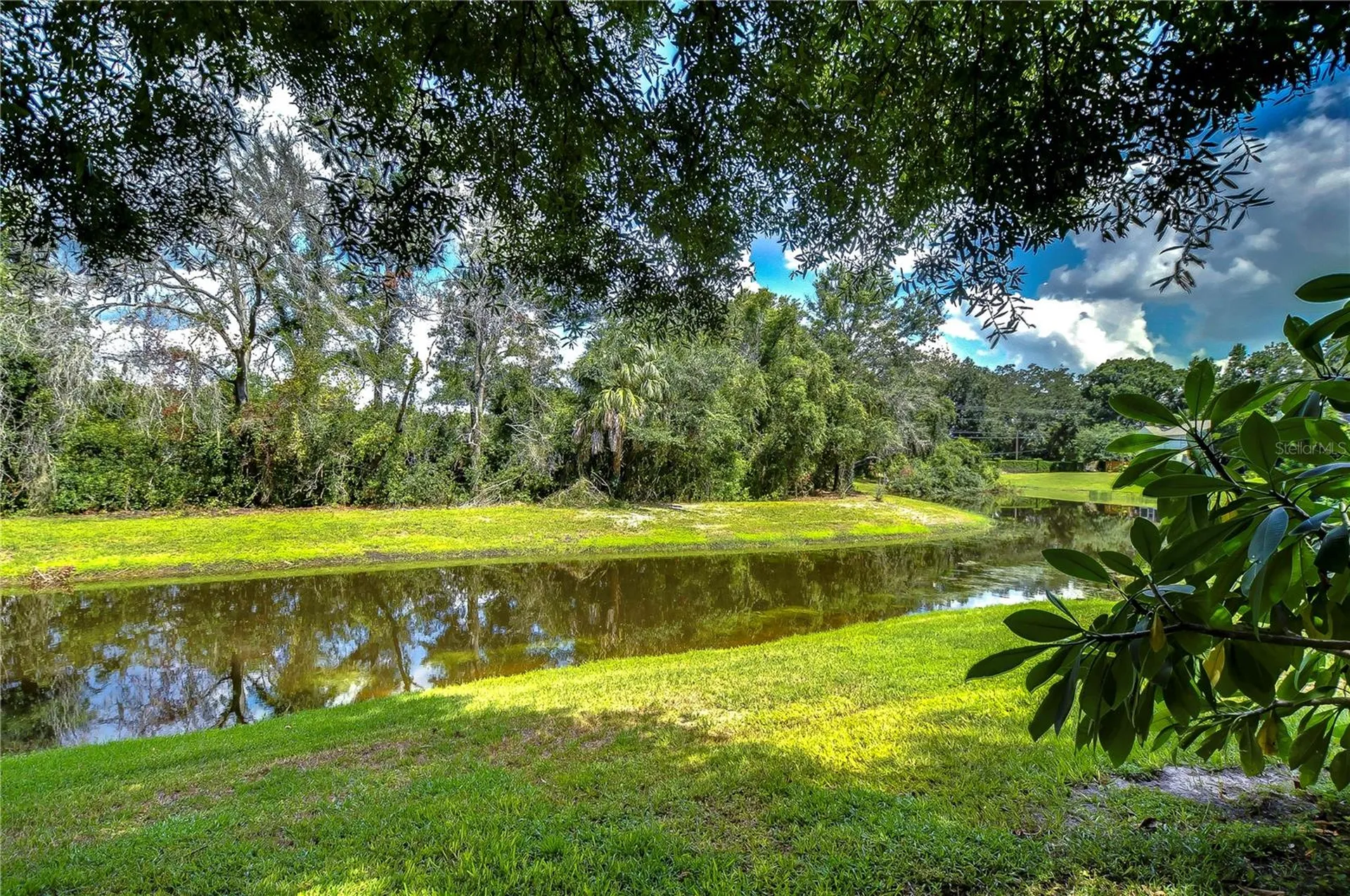 13937 Fletchers Mill Drive Tampa FL 33613