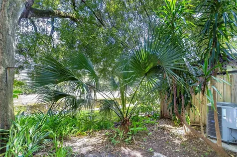 13937 Fletchers Mill Drive Tampa FL 33613