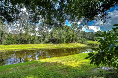 13937 Fletchers Mill Drive Tampa FL 33613