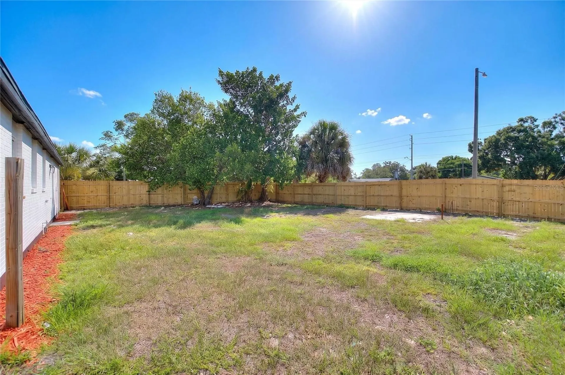 8204 Allamanda Avenue Tampa FL 33619