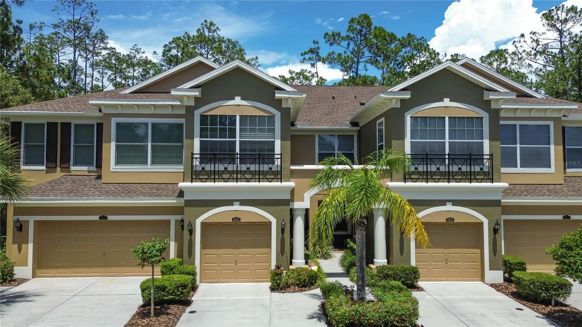 12658 Silverdale Street Tampa FL 33626