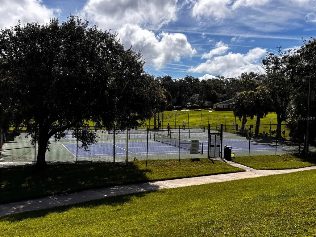 15304 Morning Drive Lutz FL 33559