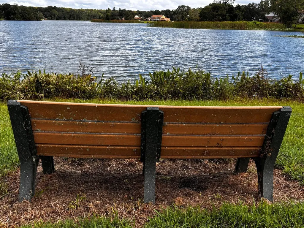15304 Morning Drive Lutz FL 33559