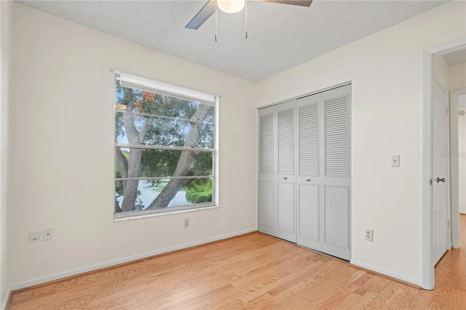 15304 Morning Drive Lutz FL 33559