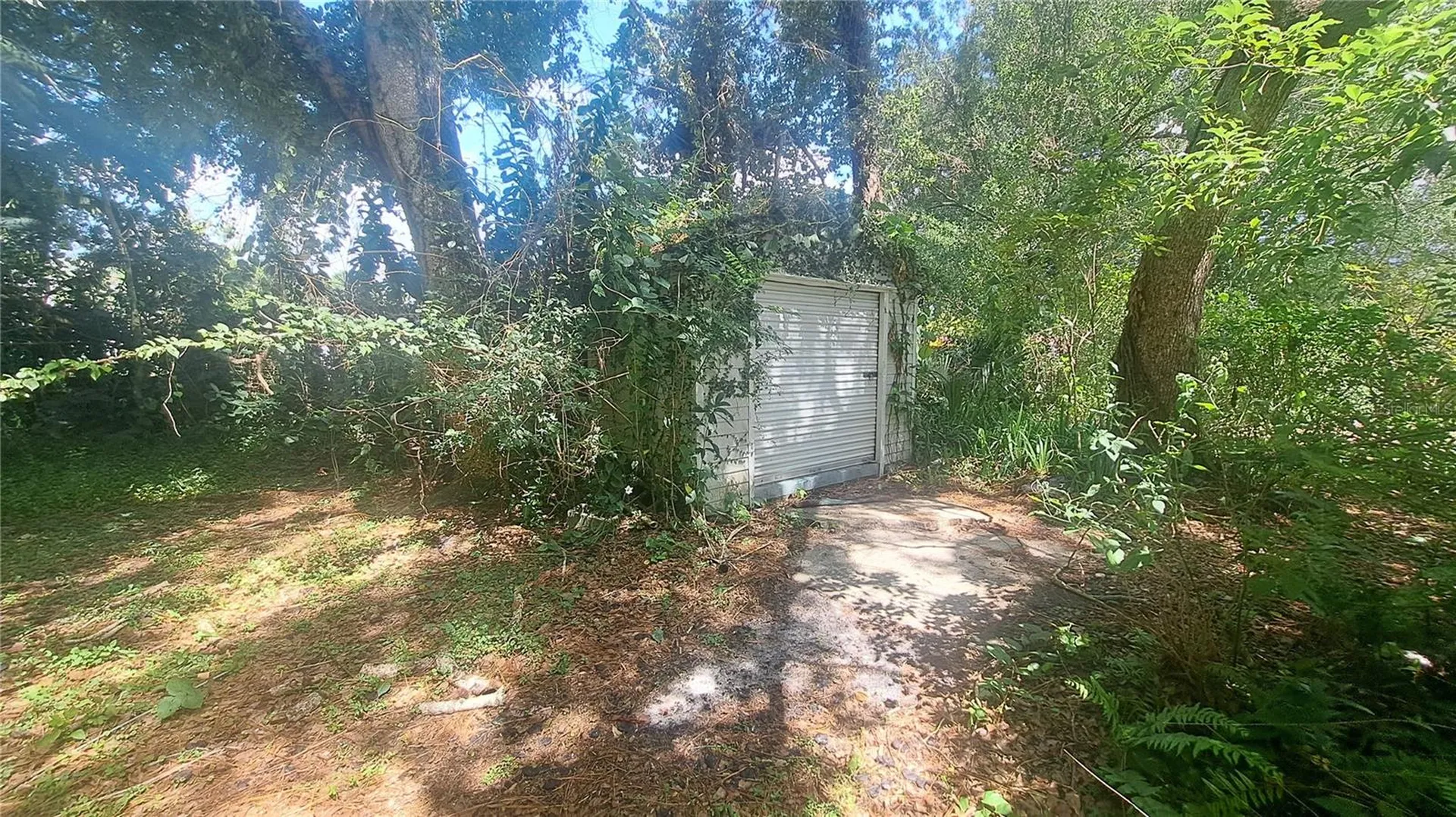1426 Kingston Avenue Orlando FL 32807