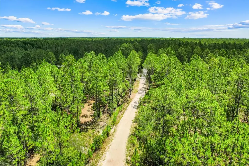 Water Road Clermont FL 34711