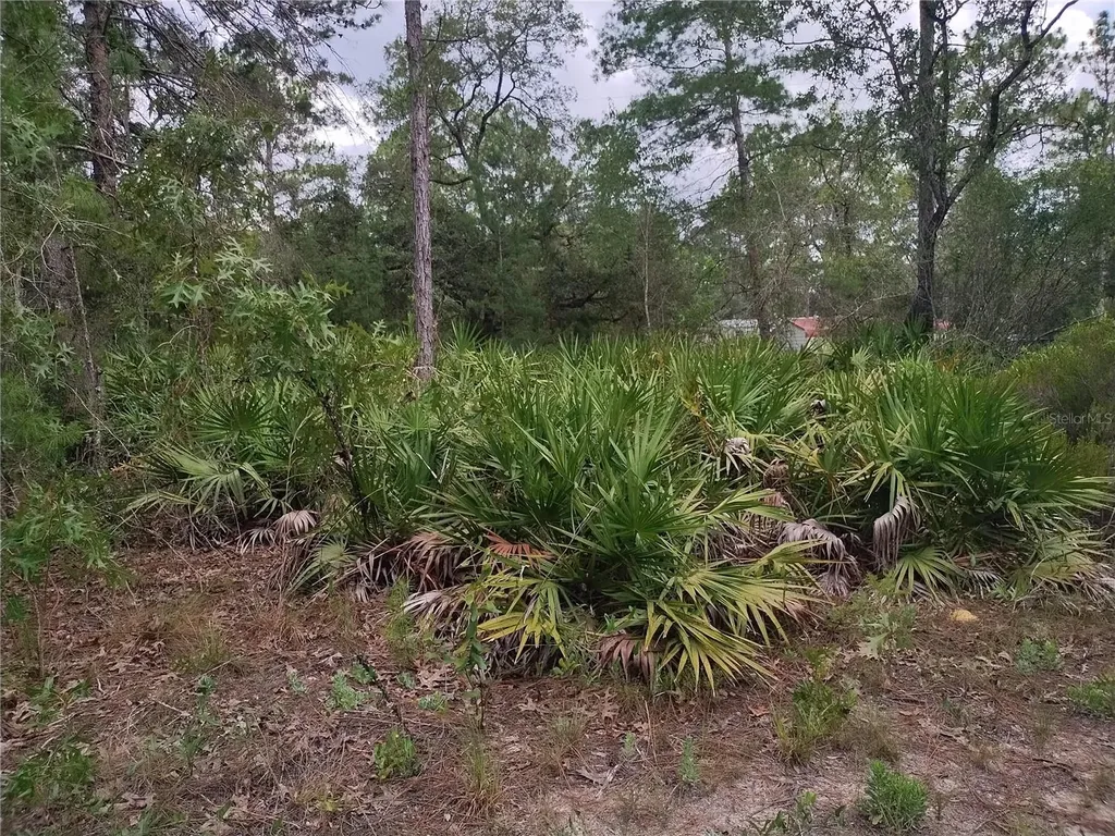 6033 W Tirana Lane Dunnellon FL 34433