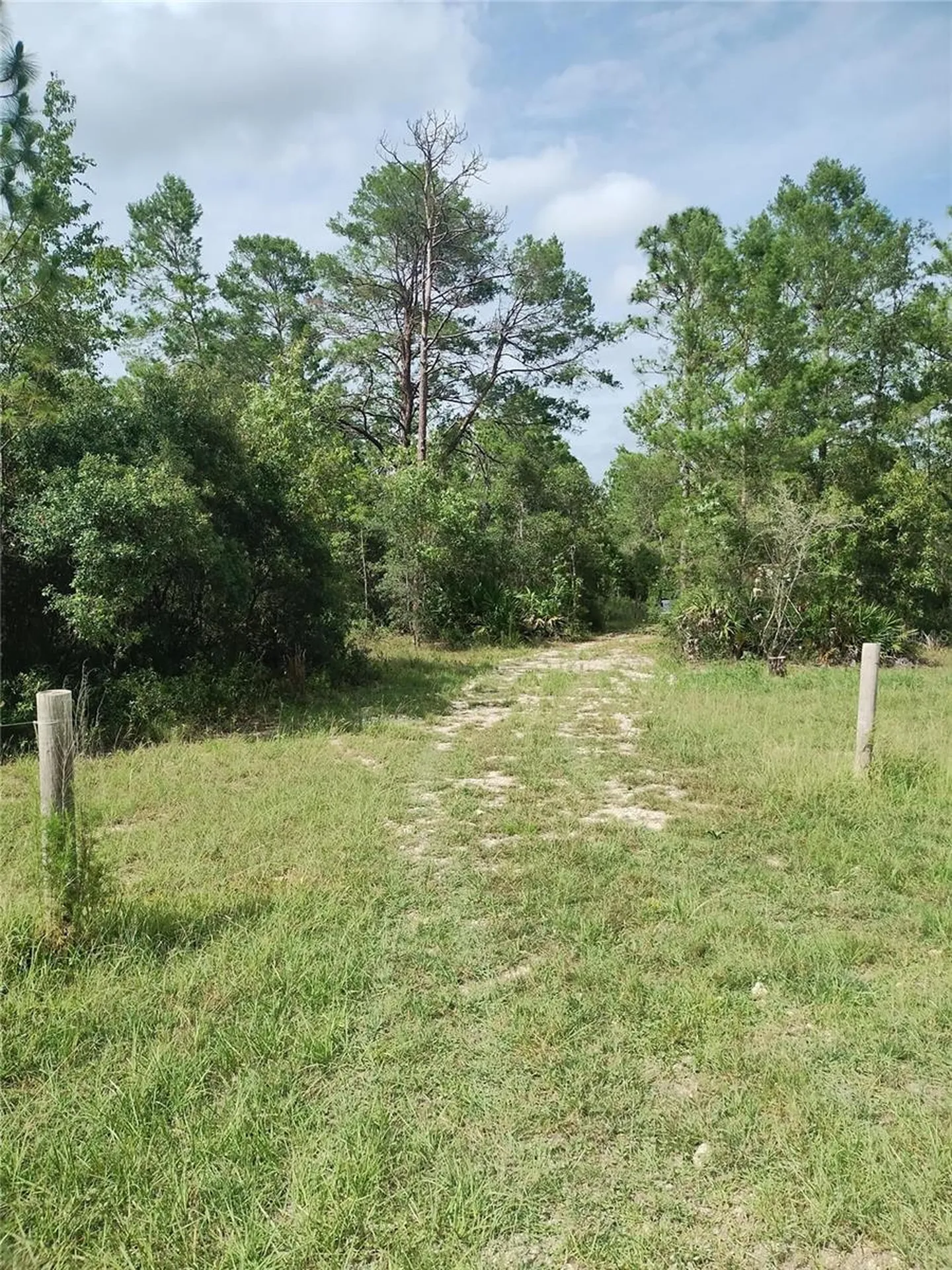 6033 W Tirana Lane Dunnellon FL 34433