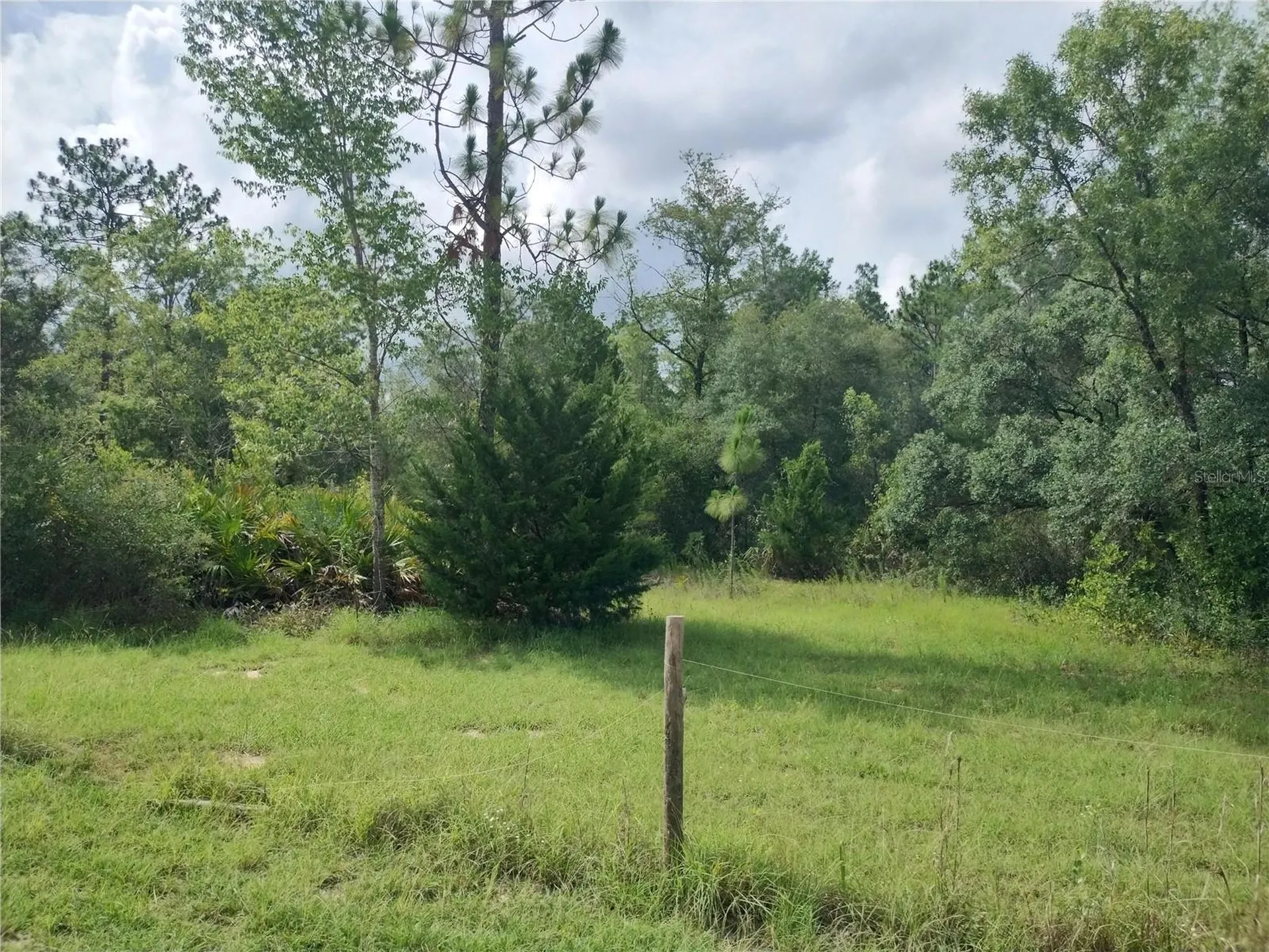6033 W Tirana Lane Dunnellon FL 34433
