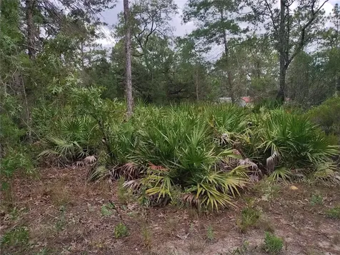 6033 W Tirana Lane Dunnellon FL 34433