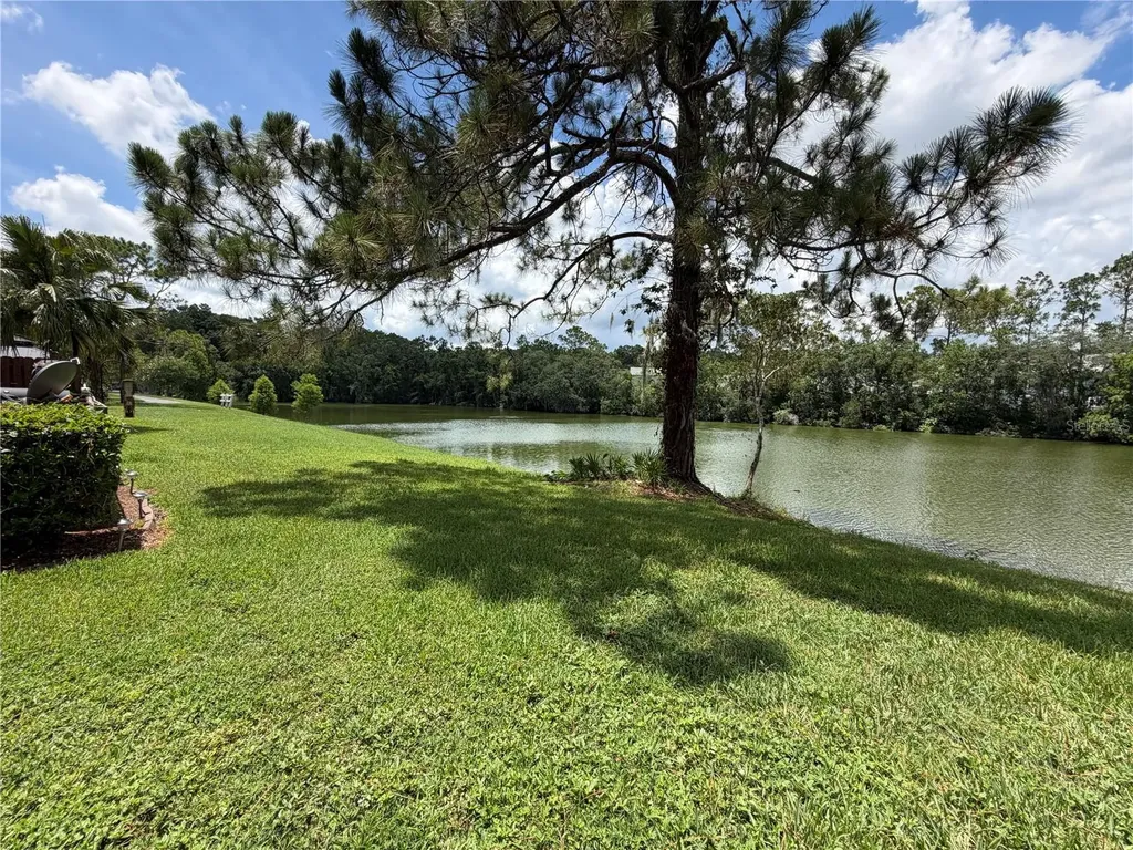 15637 Morning Drive Lutz FL 33559