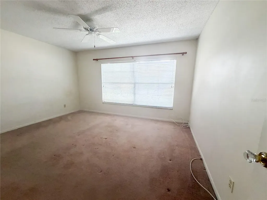 15637 Morning Drive Lutz FL 33559