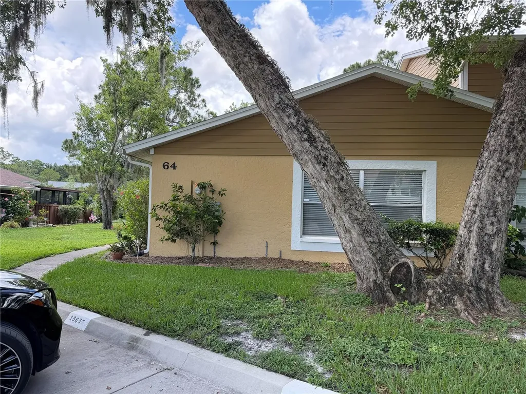 15637 Morning Drive Lutz FL 33559