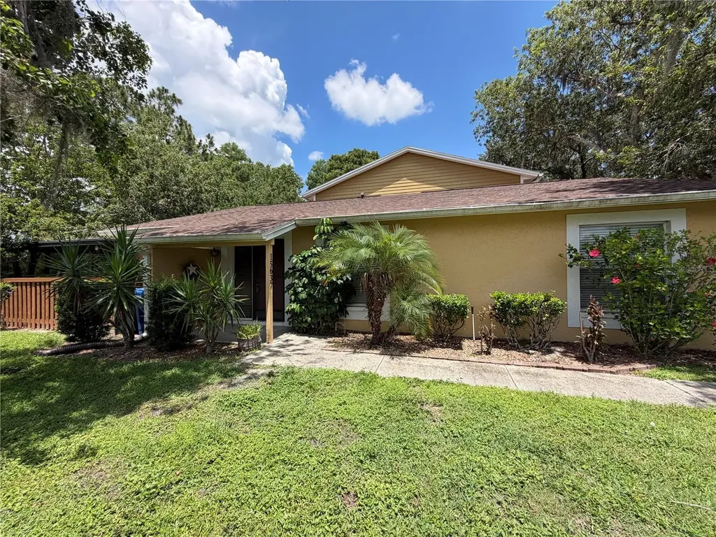 15637 Morning Drive Lutz FL 33559