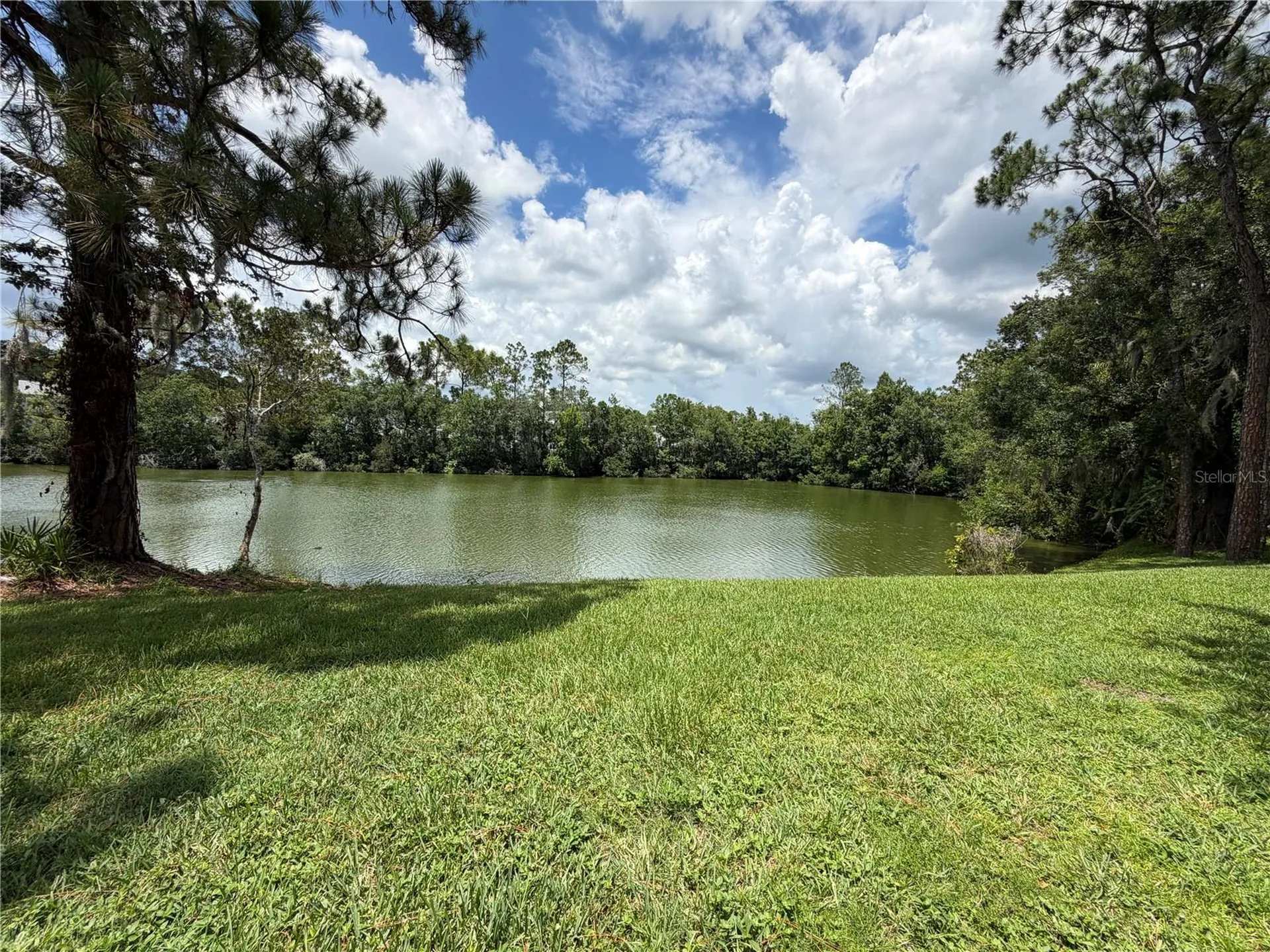 15637 Morning Drive Lutz FL 33559