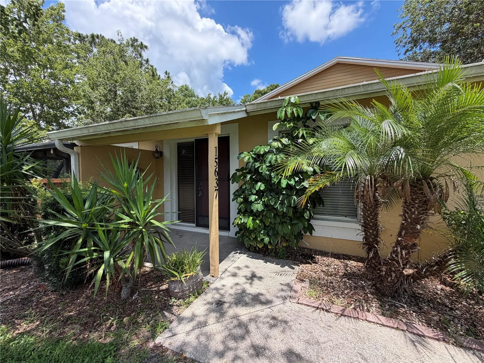 15637 Morning Drive Lutz FL 33559