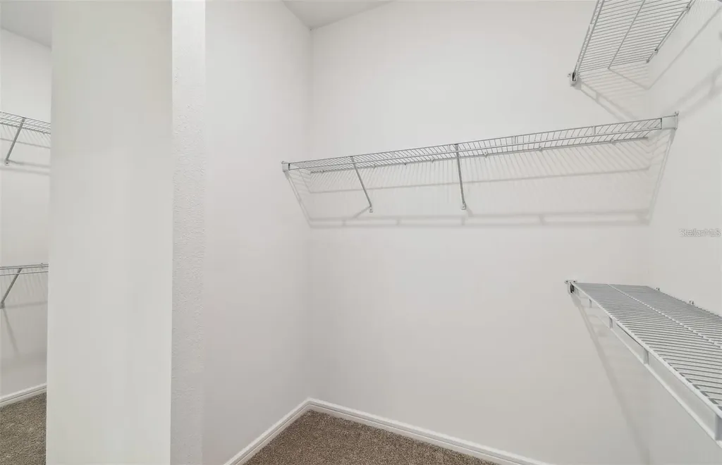 12071 Orchid Ash Street Riverview FL 33579