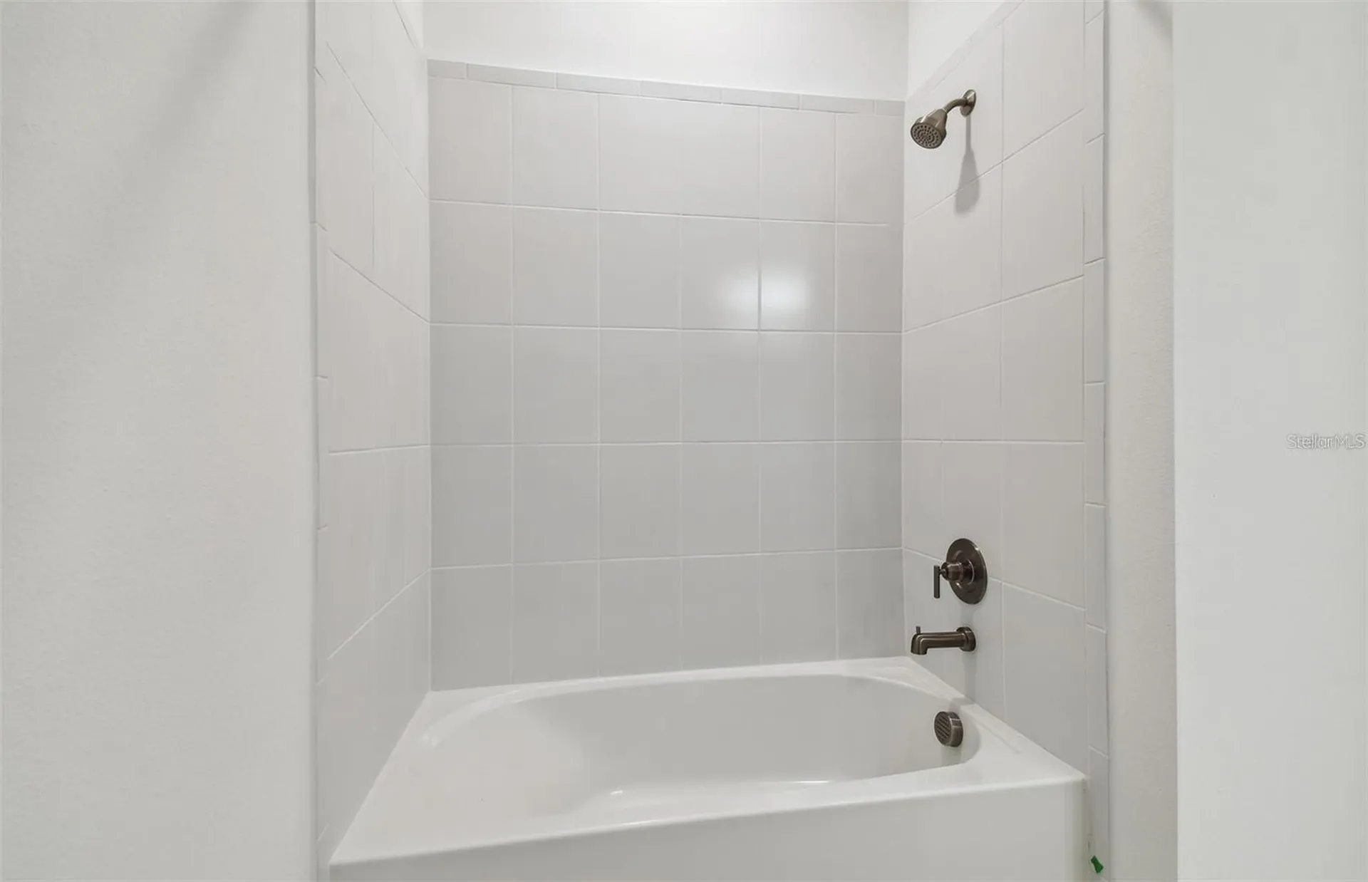 12071 Orchid Ash Street Riverview FL 33579