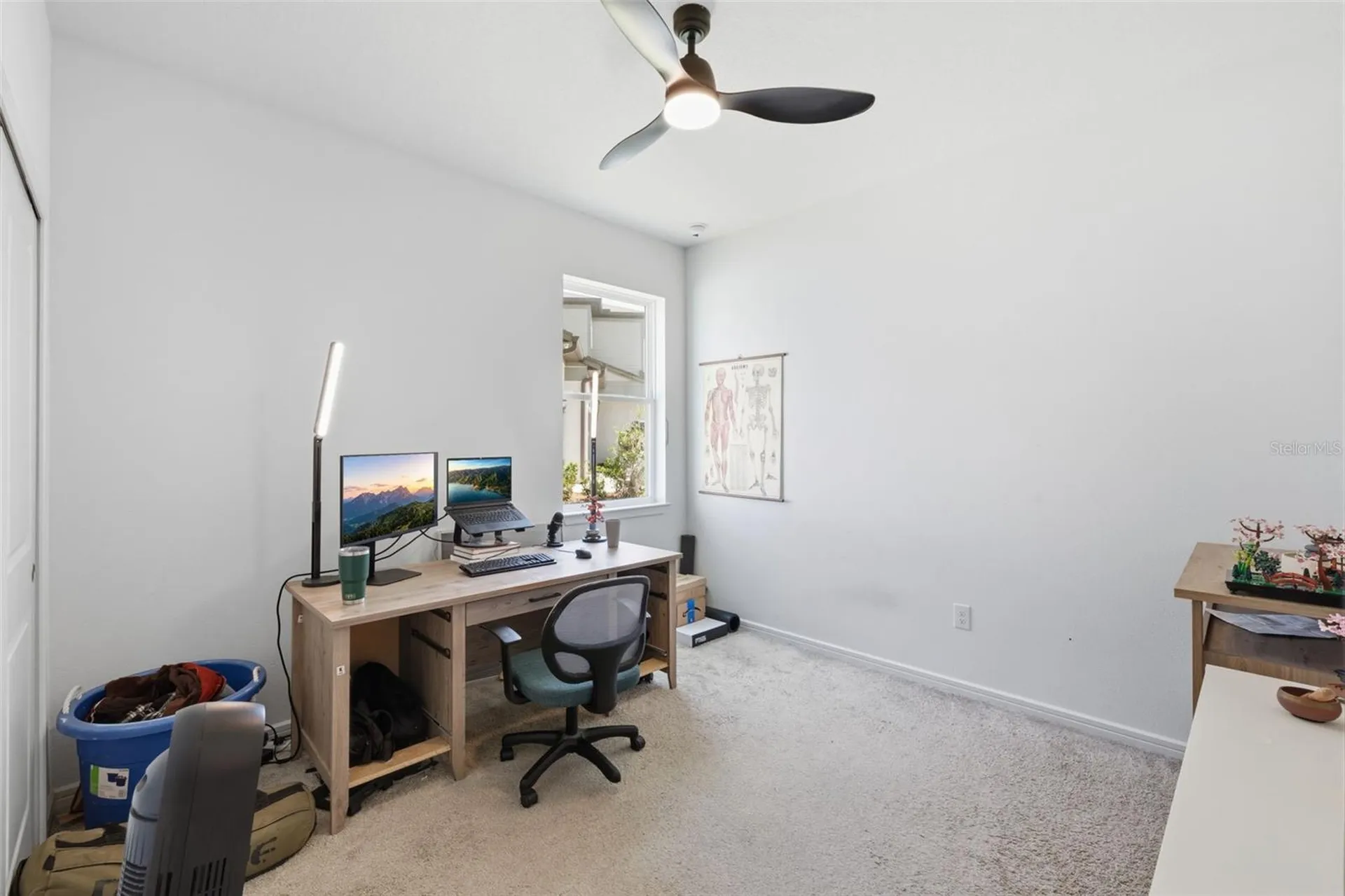 12071 Orchid Ash Street Riverview FL 33579