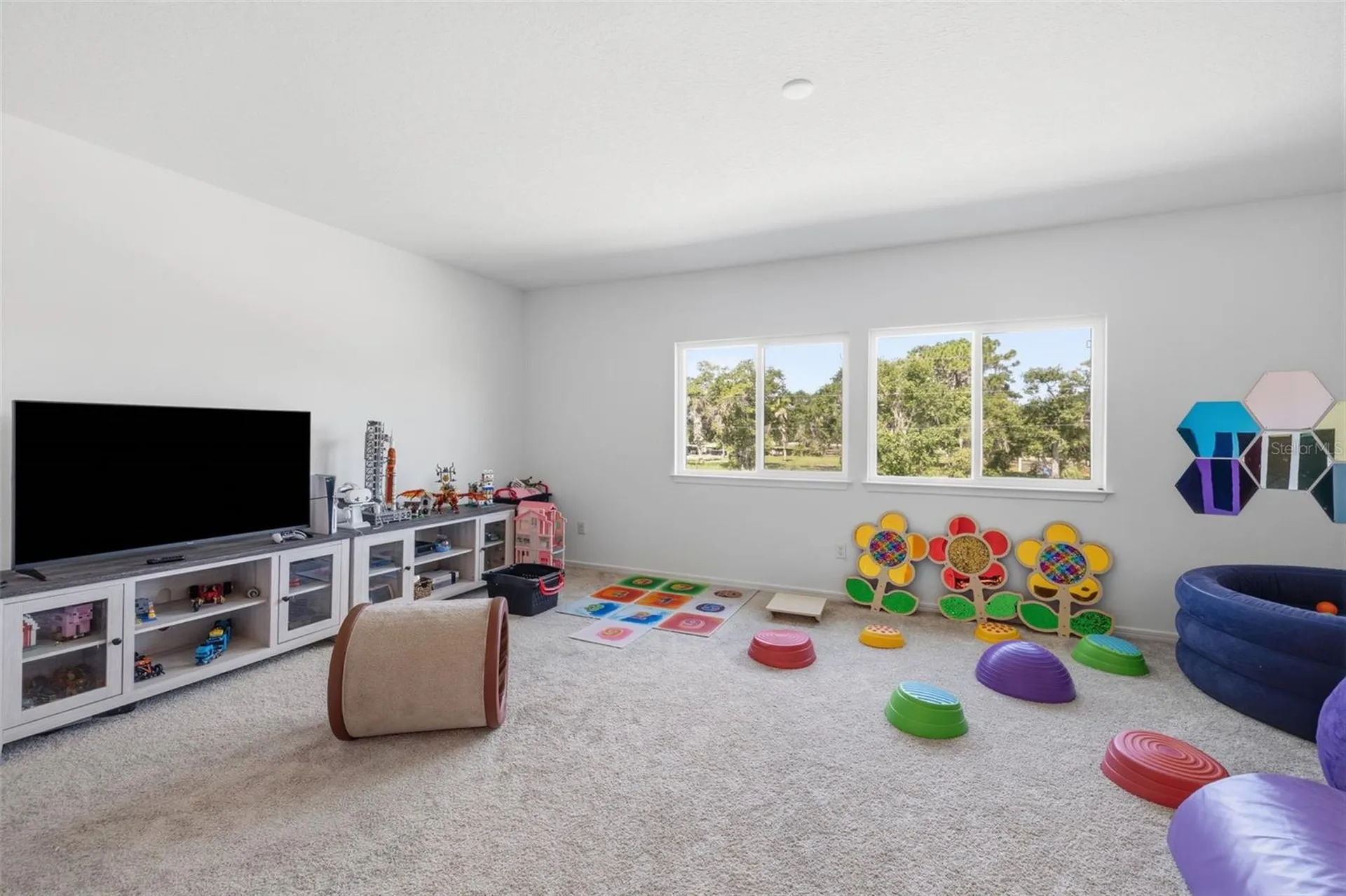 12071 Orchid Ash Street Riverview FL 33579